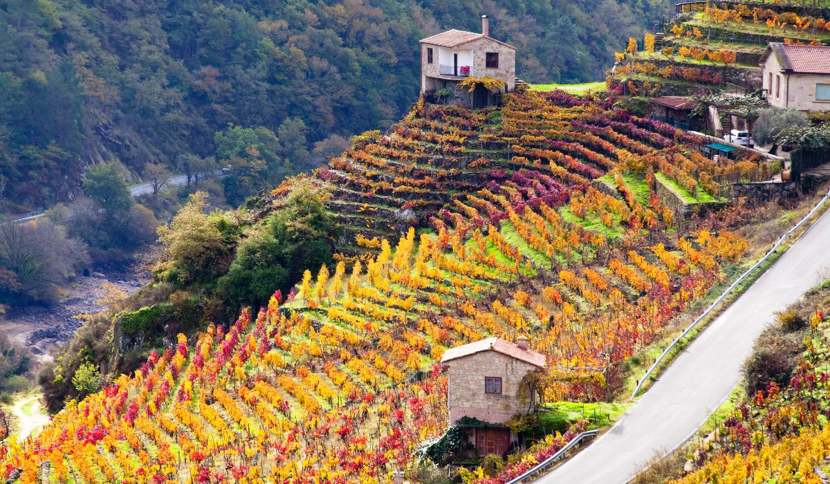 Ribeira Sacra, Galicia