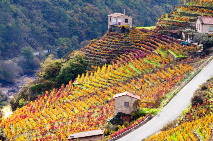 Ribeira Sacra, Galicia
