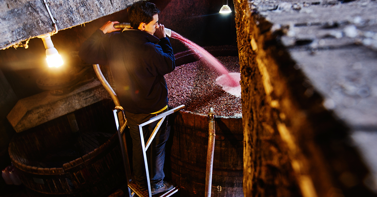 tahbilk_winemaker