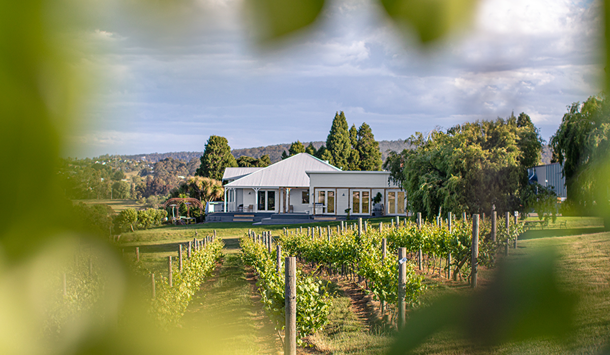 Evenfall and Bellebonne cellar door