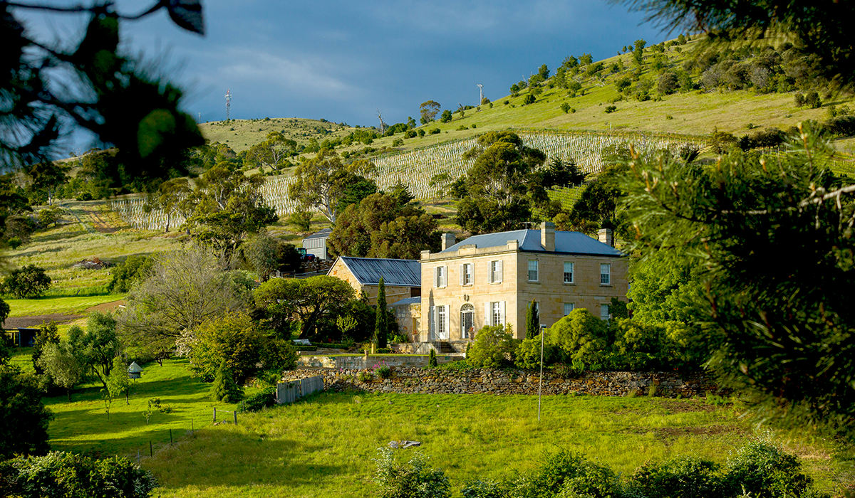 Pooley Wines