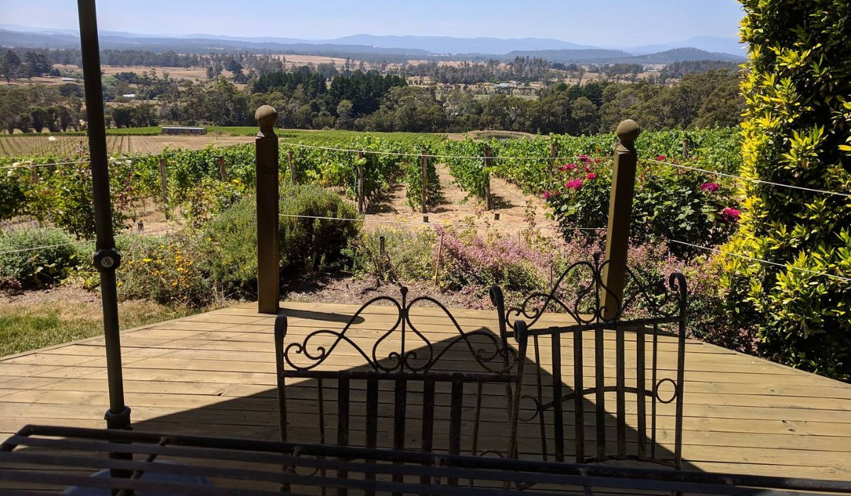 The best family-friendly wineries in Tasmania