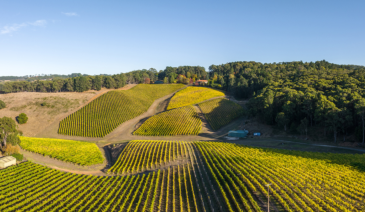 Murdock Hill in the Adelaide Hills