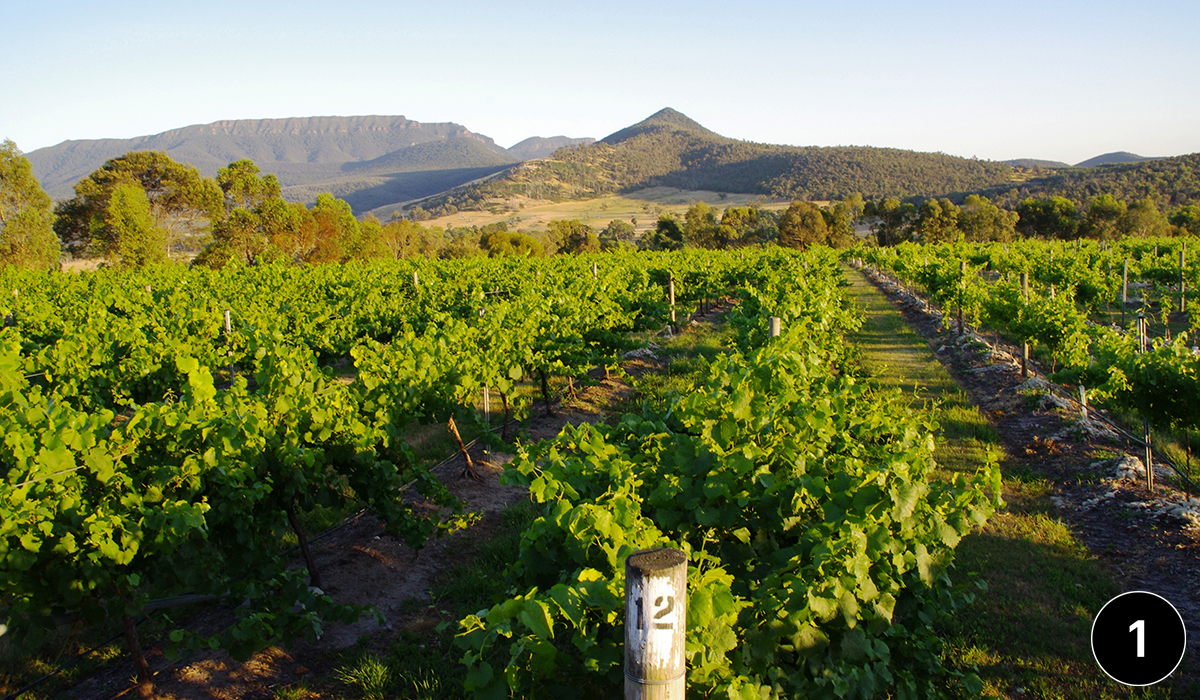 Grampians Estate