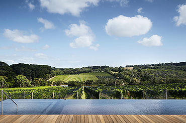 Jackalope infinity pool overlooking the vines