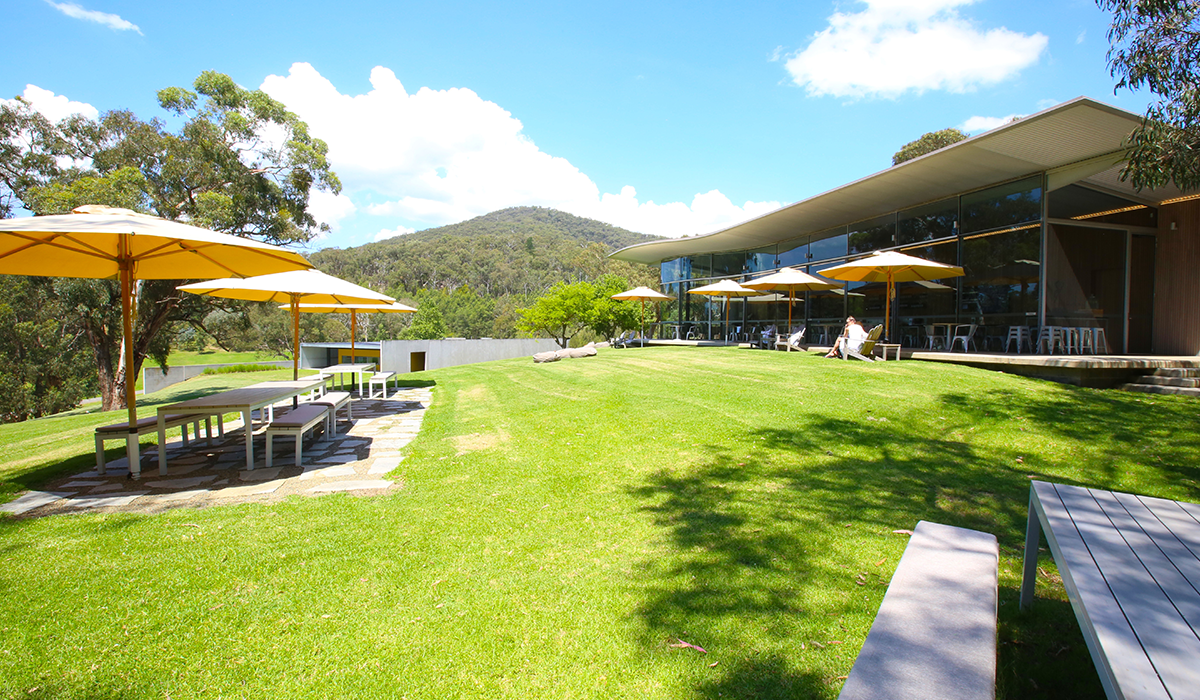 Medhurst cellar door