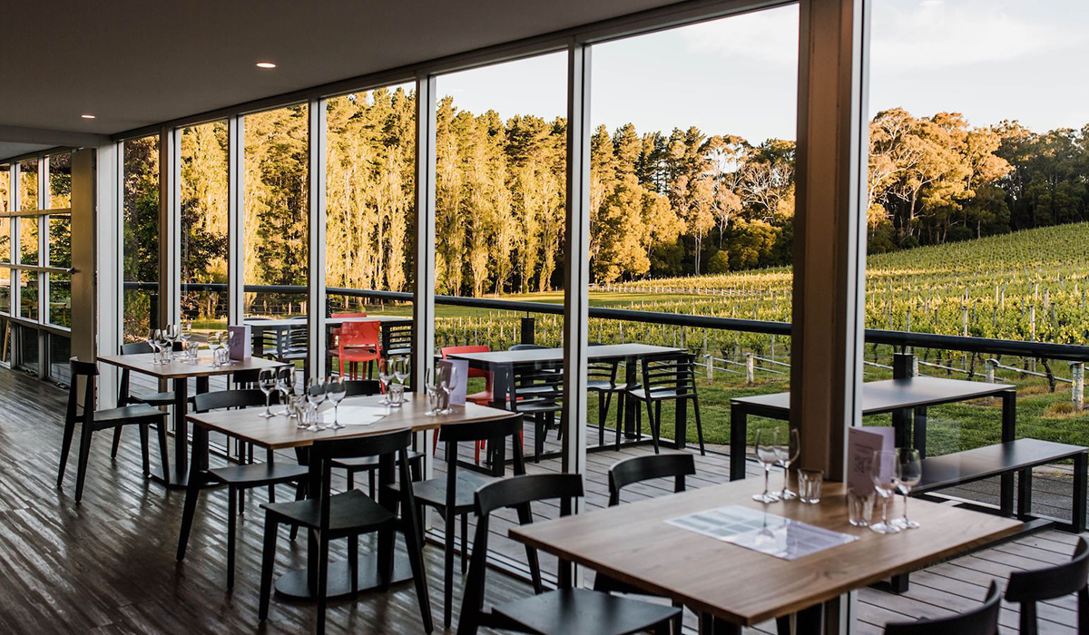 Inside the Tapanappa cellar door