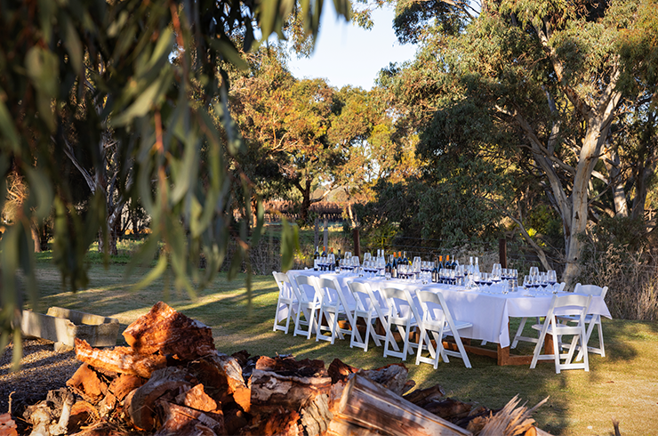 Wine tasting in Karrawatta vineyard