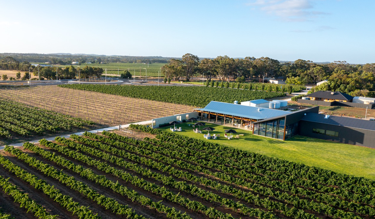 Artisans of Barossa cellar door