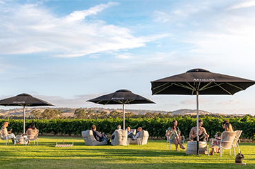 Artisans of Barossa cellar door outside