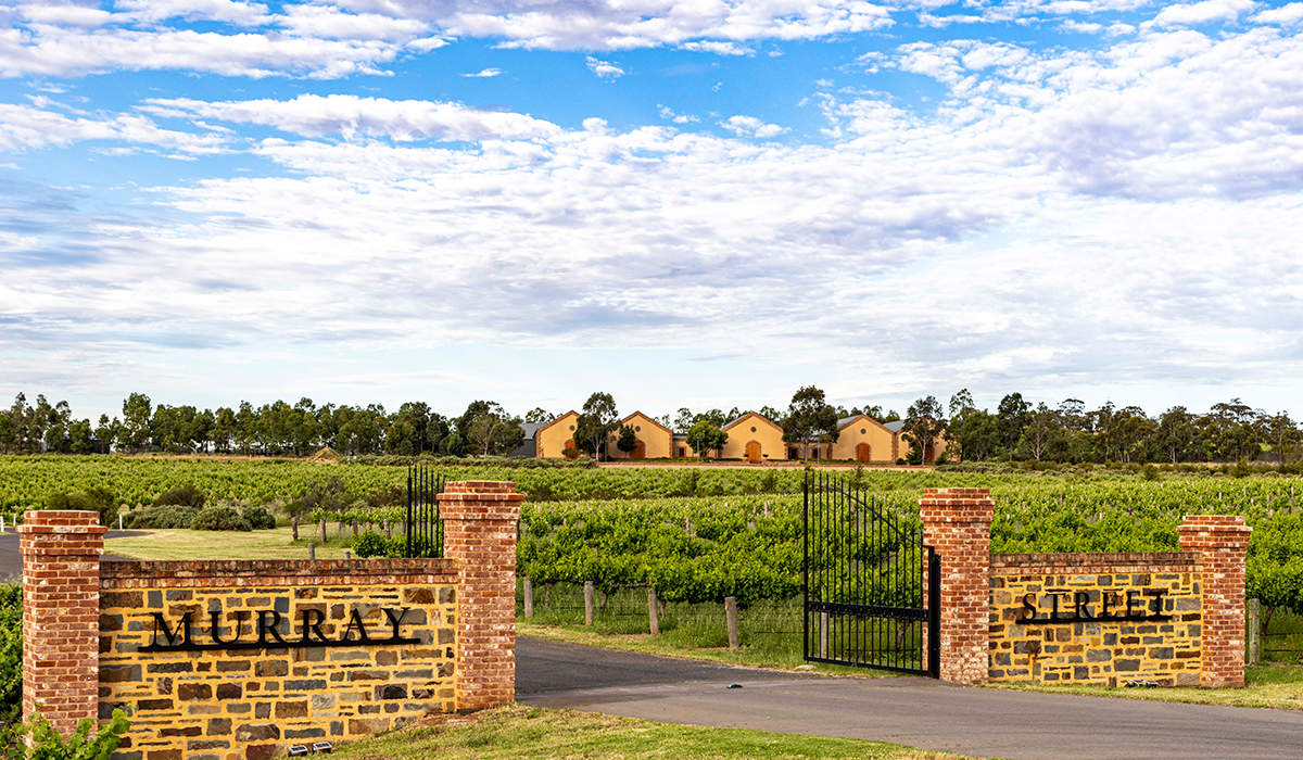 Murray Street cellar door