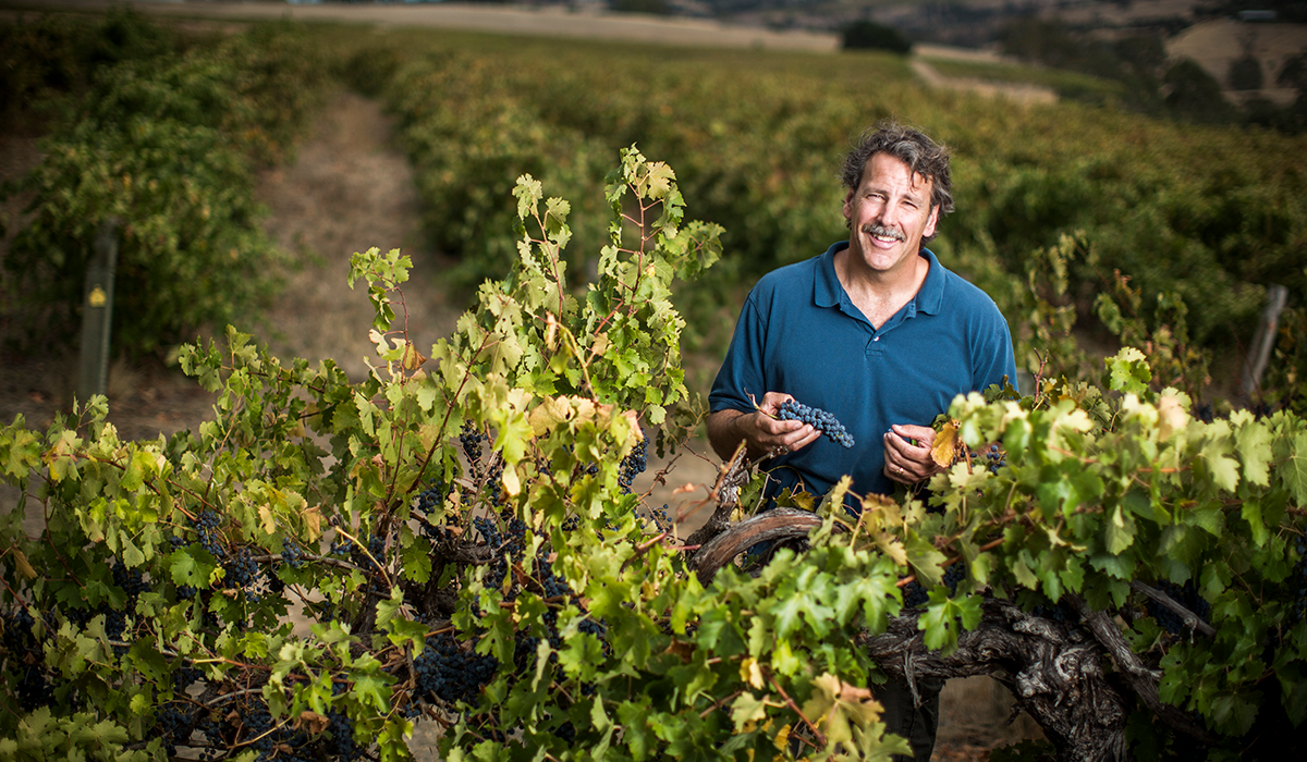 Chris Carpenter in the vines