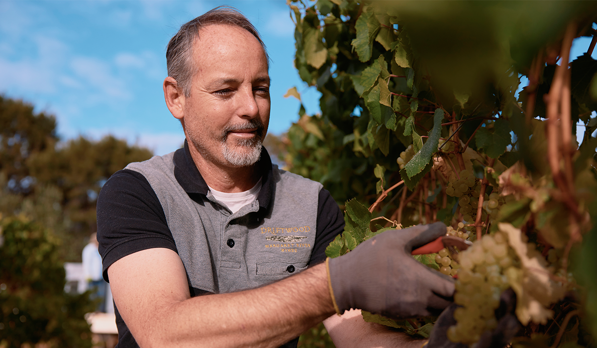 Driftwood winemaker