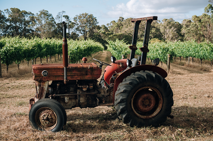 Tractor in Cape Grace vineyard