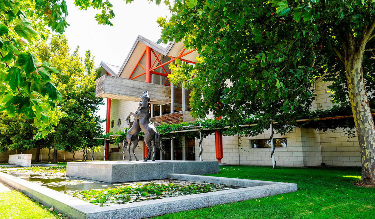 Rymill cellar door entrance and Stallions Rampant – a bronze sculpture created by artist Gabriel Sterk.