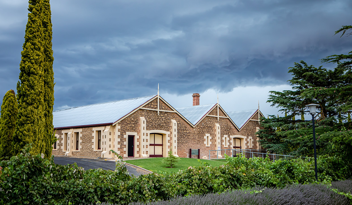 Wynns cellar door view