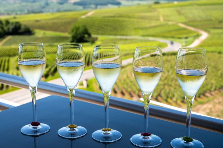 Five glasses of Champagne with French vineyards in background