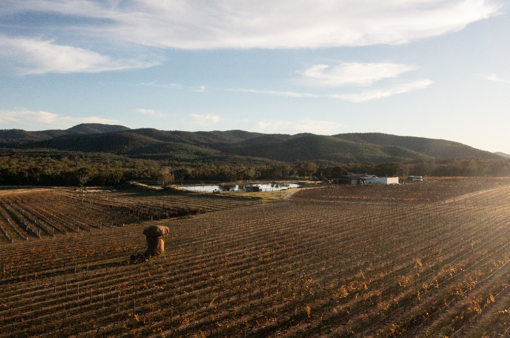 The best wines in the Granite Belt