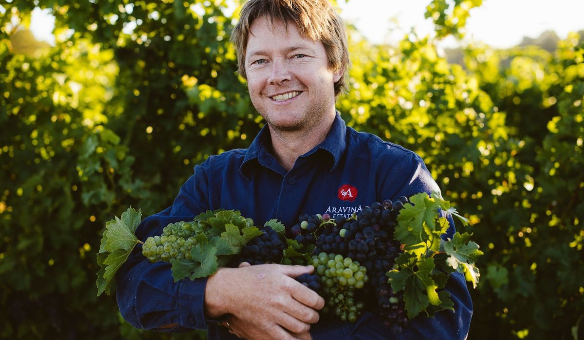 highly rated australian grenache wine
