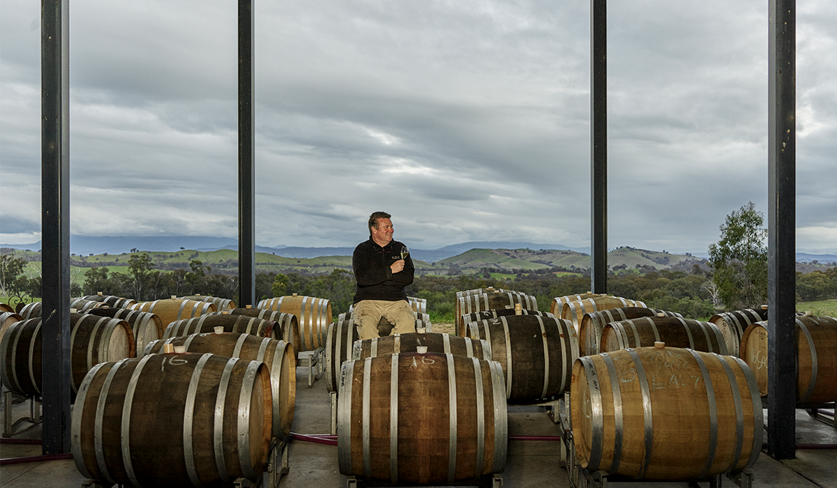 View of Savaterre from inside the cellar door