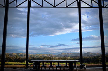 View of Savaterre from inside the cellar door