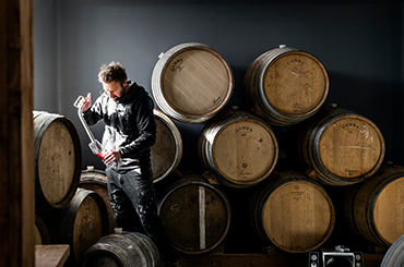 Sentio Wines