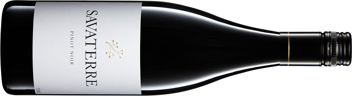 Savaterre Pinot Noir