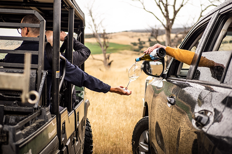 Meadowbank wine being poured in vineyard