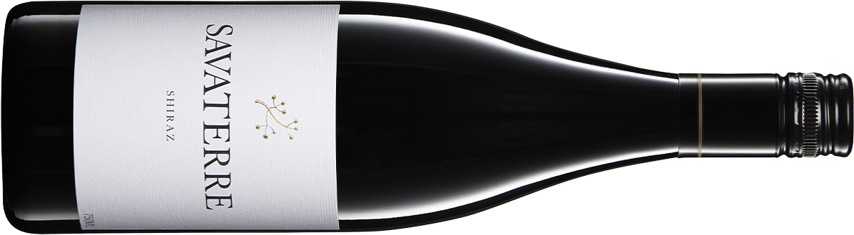 2019 Savaterre Shiraz 