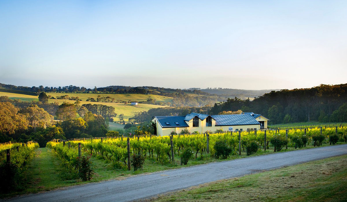 Eldridge Estate cellar door view