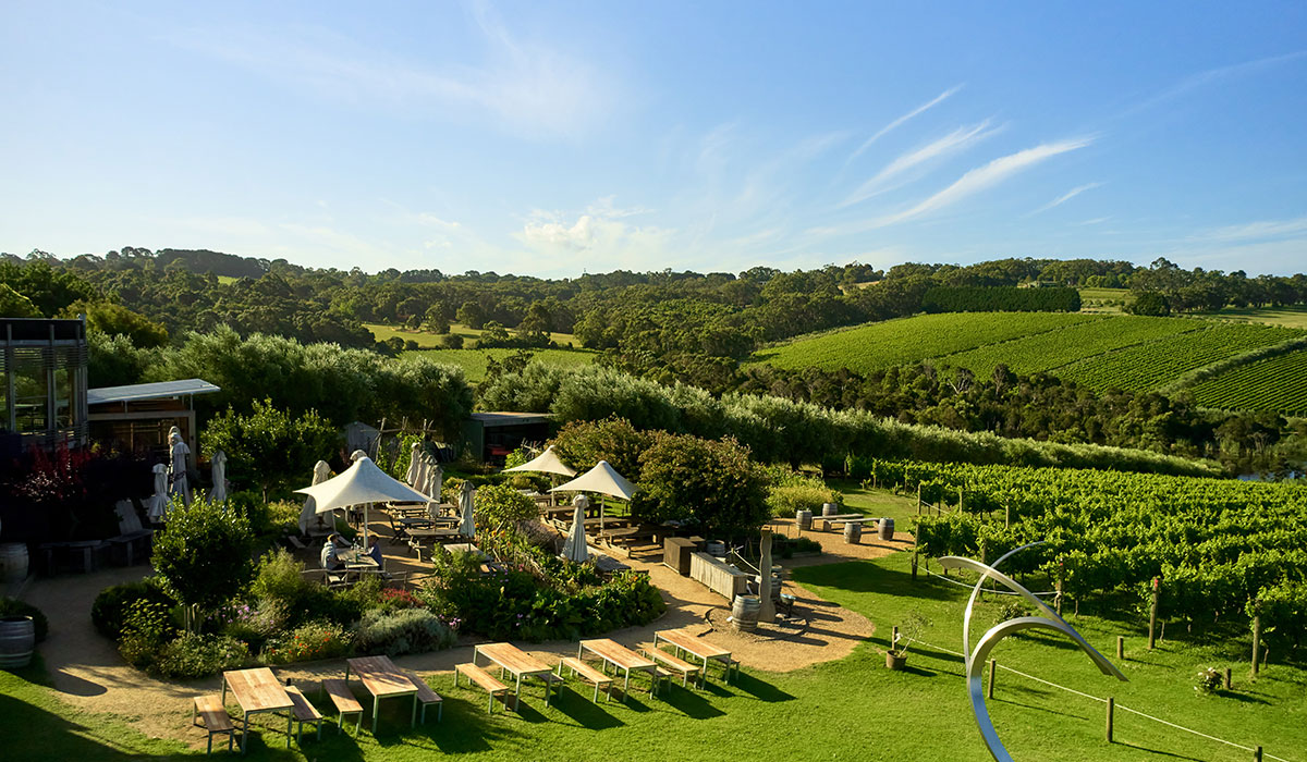 Montalto cellar door view