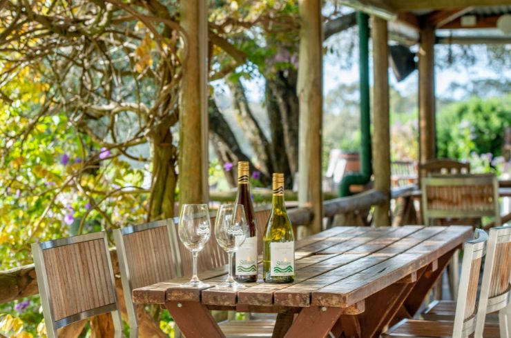 new wine reviews november