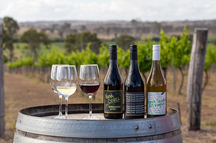 Nuova Scuola Wines with the vineyard in the background