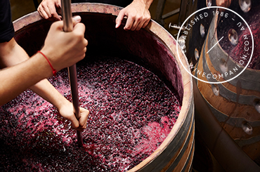 Pinot Noir Halliday Wine Companion