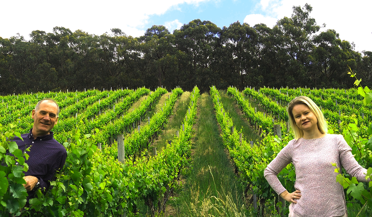 La Linea team in the vineyard