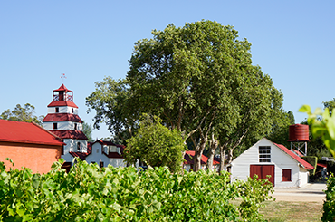 Tahbilk Tower and vineyard.