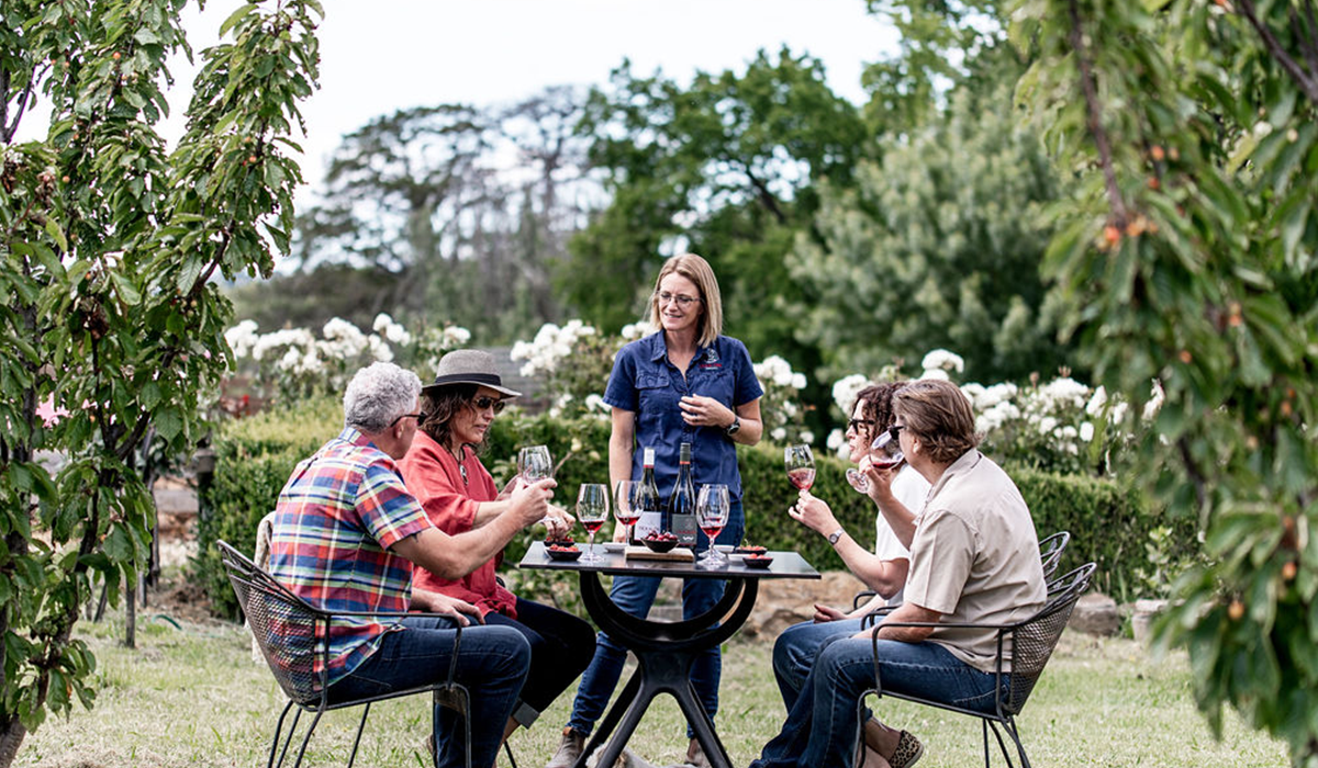 A wine tasting at Holm Oak