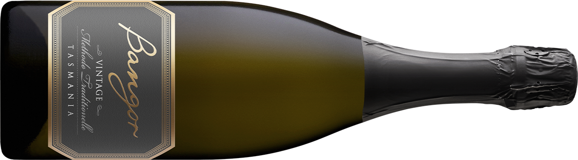 2020 Bangor Vintage Sparkling 
