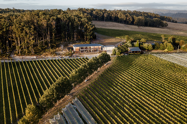 Aerial view of Moores Hill vineyard