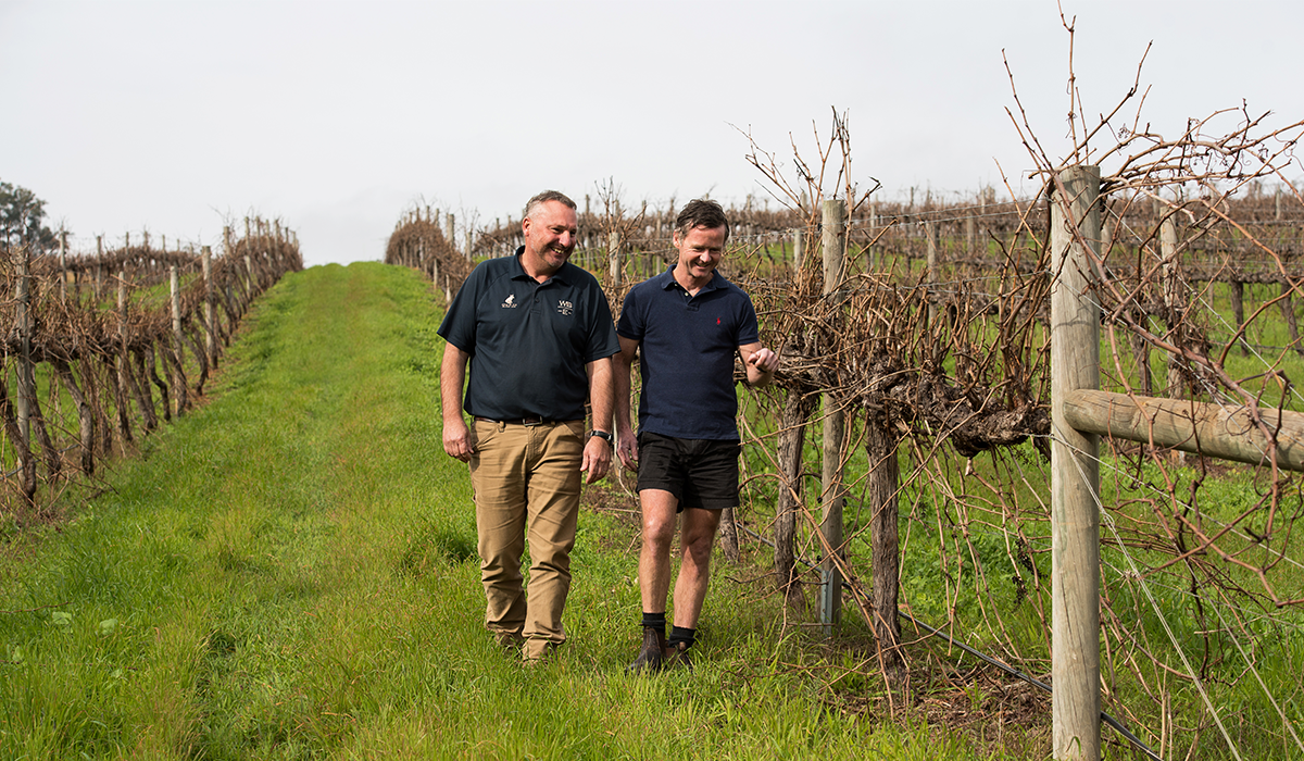 Willow Bridge winemakers in vineyard