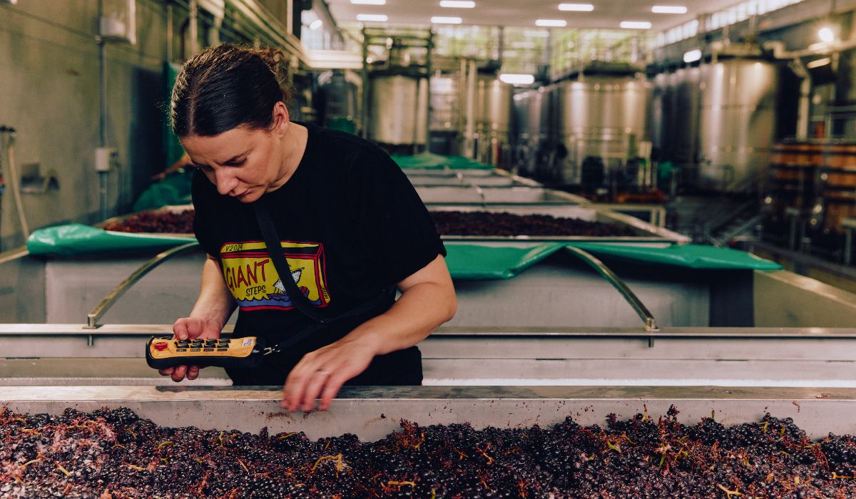 Melanie Chester, Giant Steps