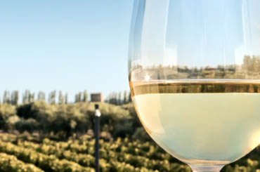 sauvignon blanc wow whites 2018