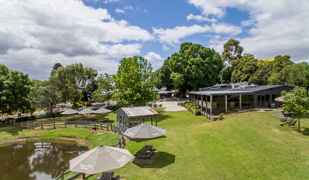 Payne's Rise cellar door