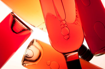 Rose Halliday Wine Companion Awards Varietal Winners