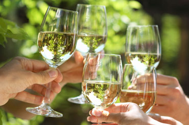 Sauvignon Blanc Halliday Wine Companion Awards Varietal Winners