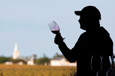 Shiraz Family Other Reds Halliday Wine Companion Awards Varietal Winners