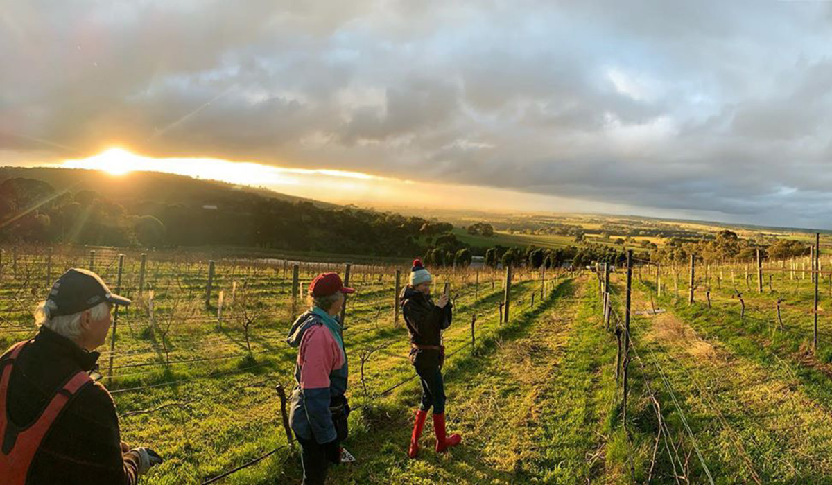 Sunset at Barwon Ridge