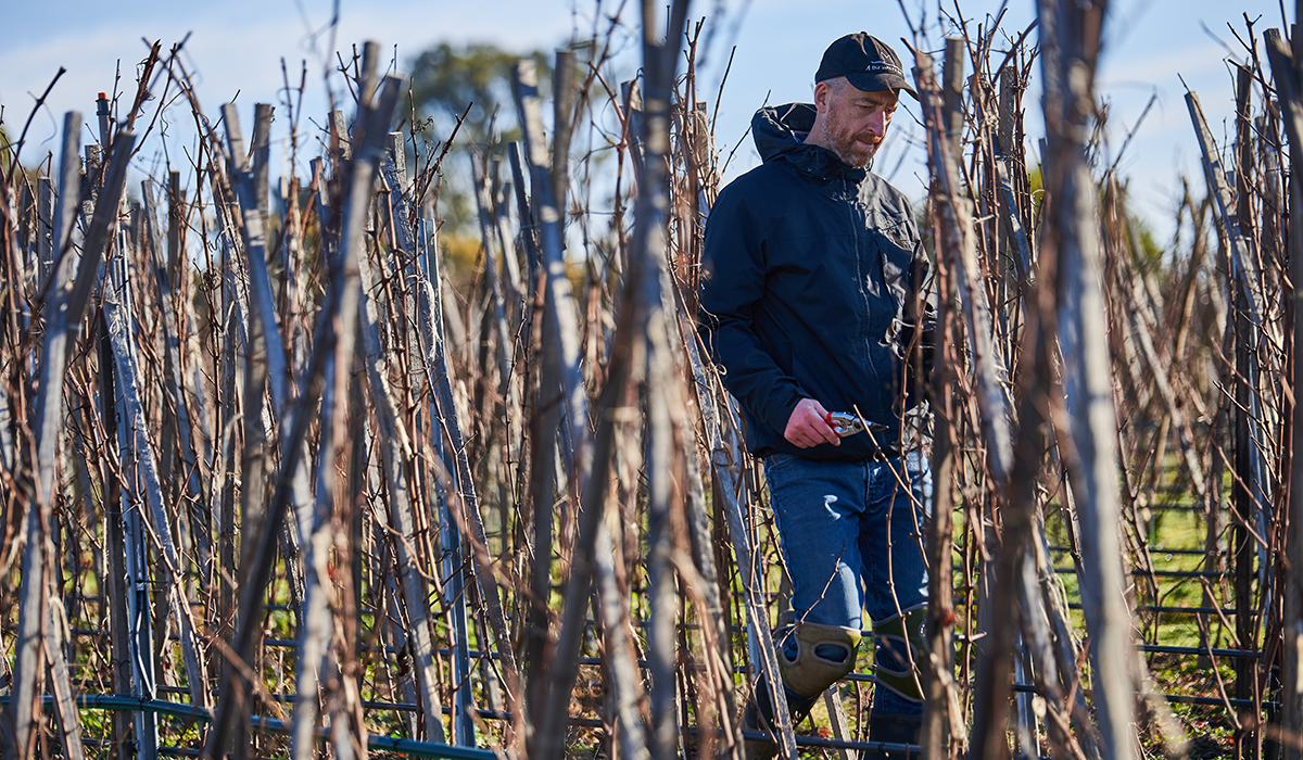 best new winery