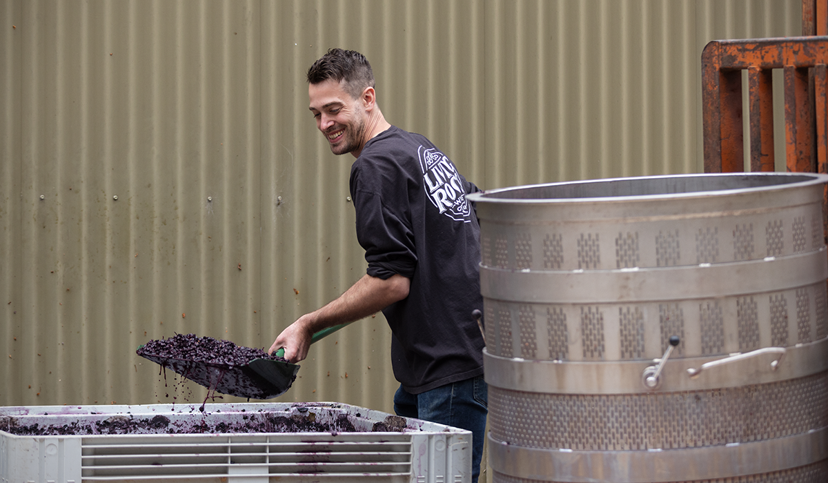 Sebastian Hardy shovelling grapes.