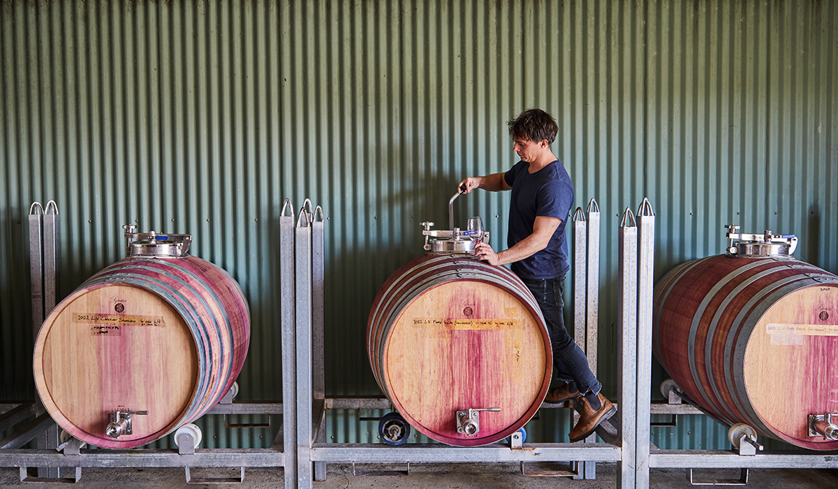 Nic testing wine from the barrel